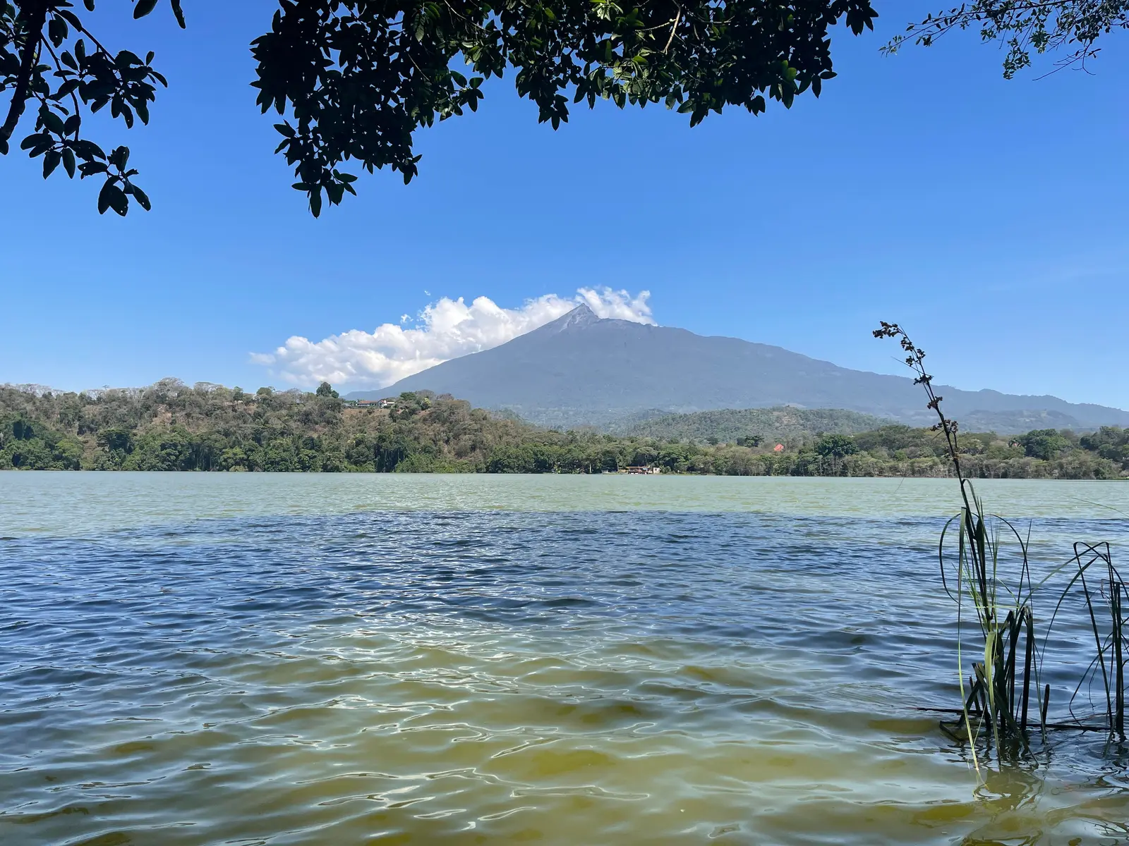Lake Duluti with forest on its shores and Mount Meru behind