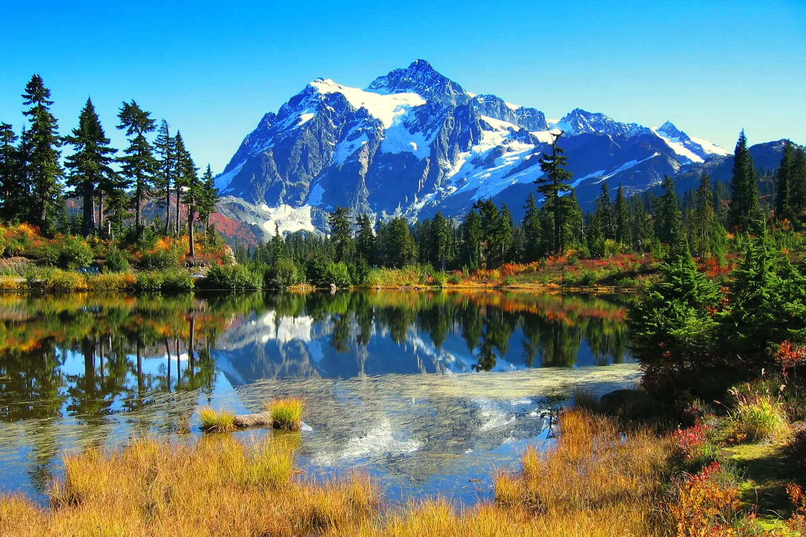 Mount Shuksan reflected in Picture Lake, with firs and autumn-red shrubs on the shore