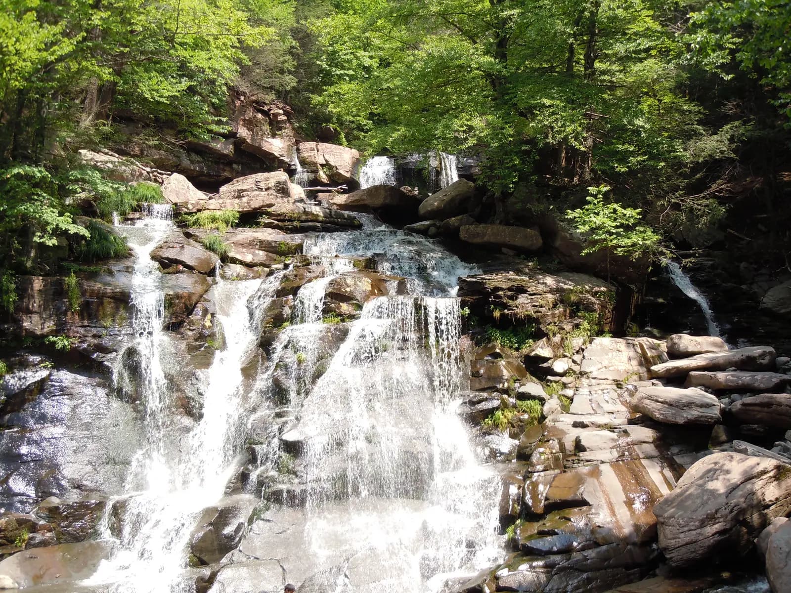 Water cascading over broad stepped sandstone ledges at Bastion Falls under green trees