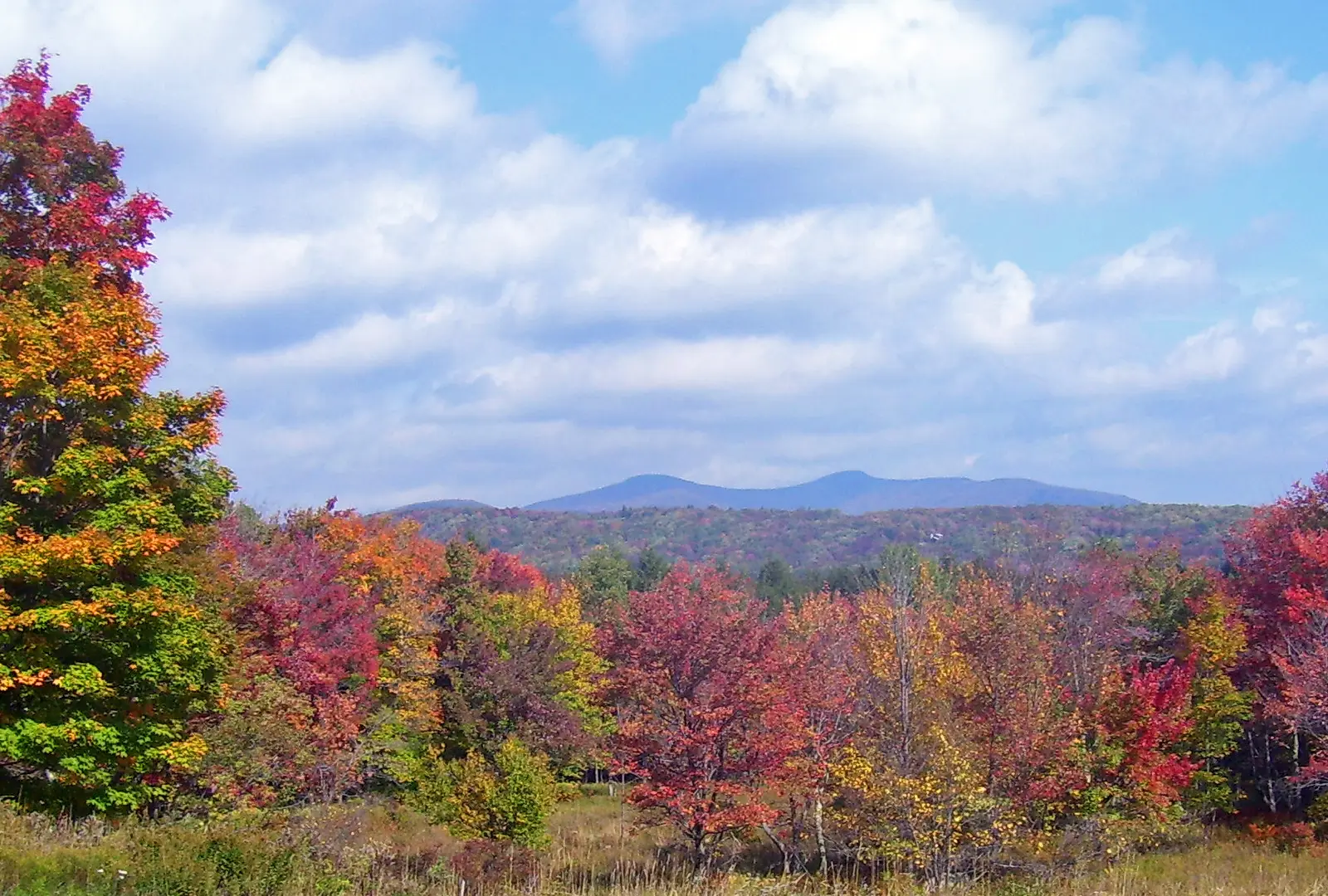 Peekamoose and Table mountains on the skyline above a band of red, orange and yellow autumn trees