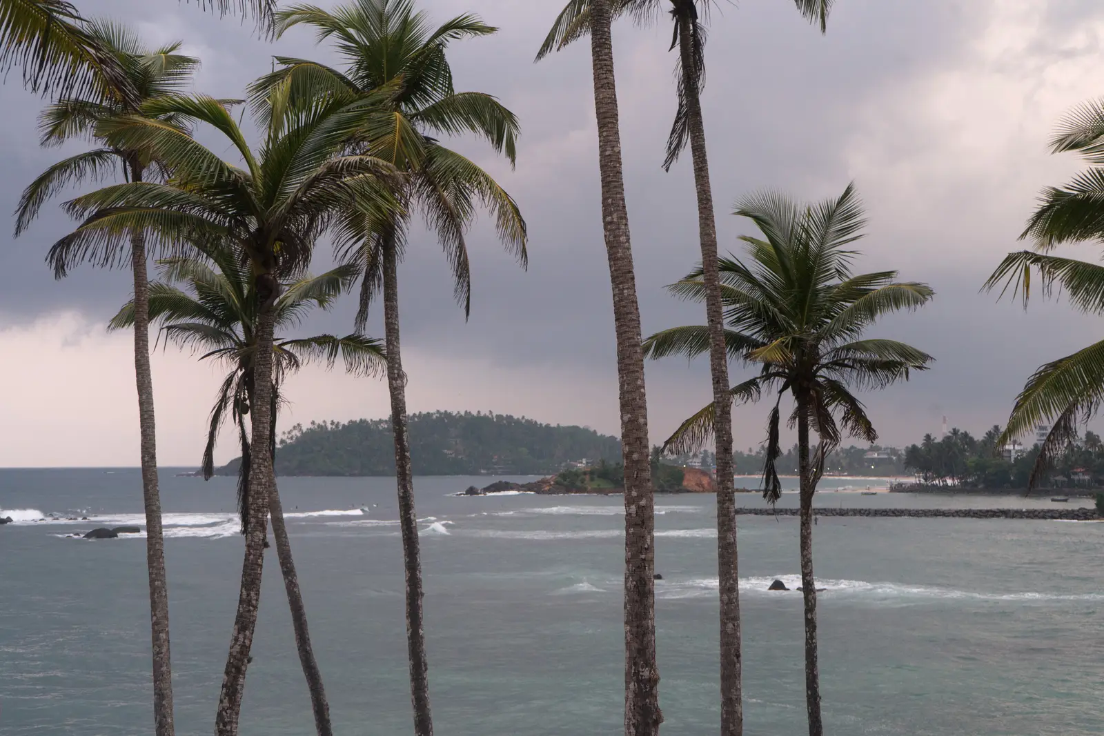 Tall coconut palms on Coconut Tree Hill, looking across the water towards Mirissa