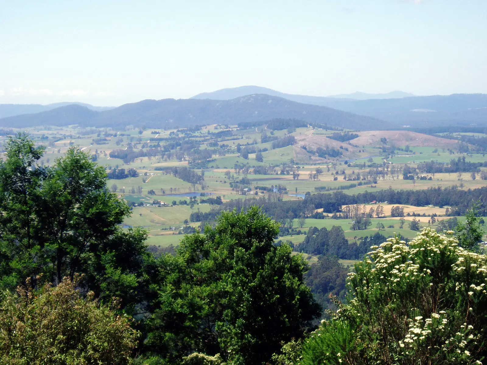 Patchwork farmland with dams and tree lines below forested hills near Scottsdale