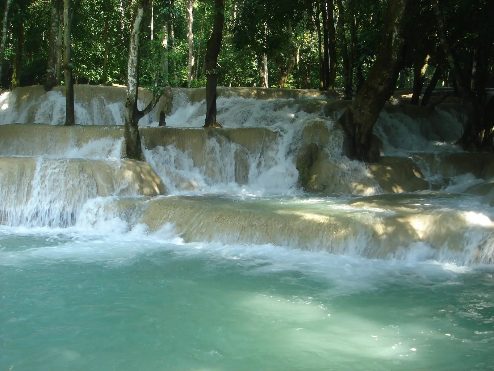 Shallow cascades flowing over limestone terraces under trees at Tad Sae