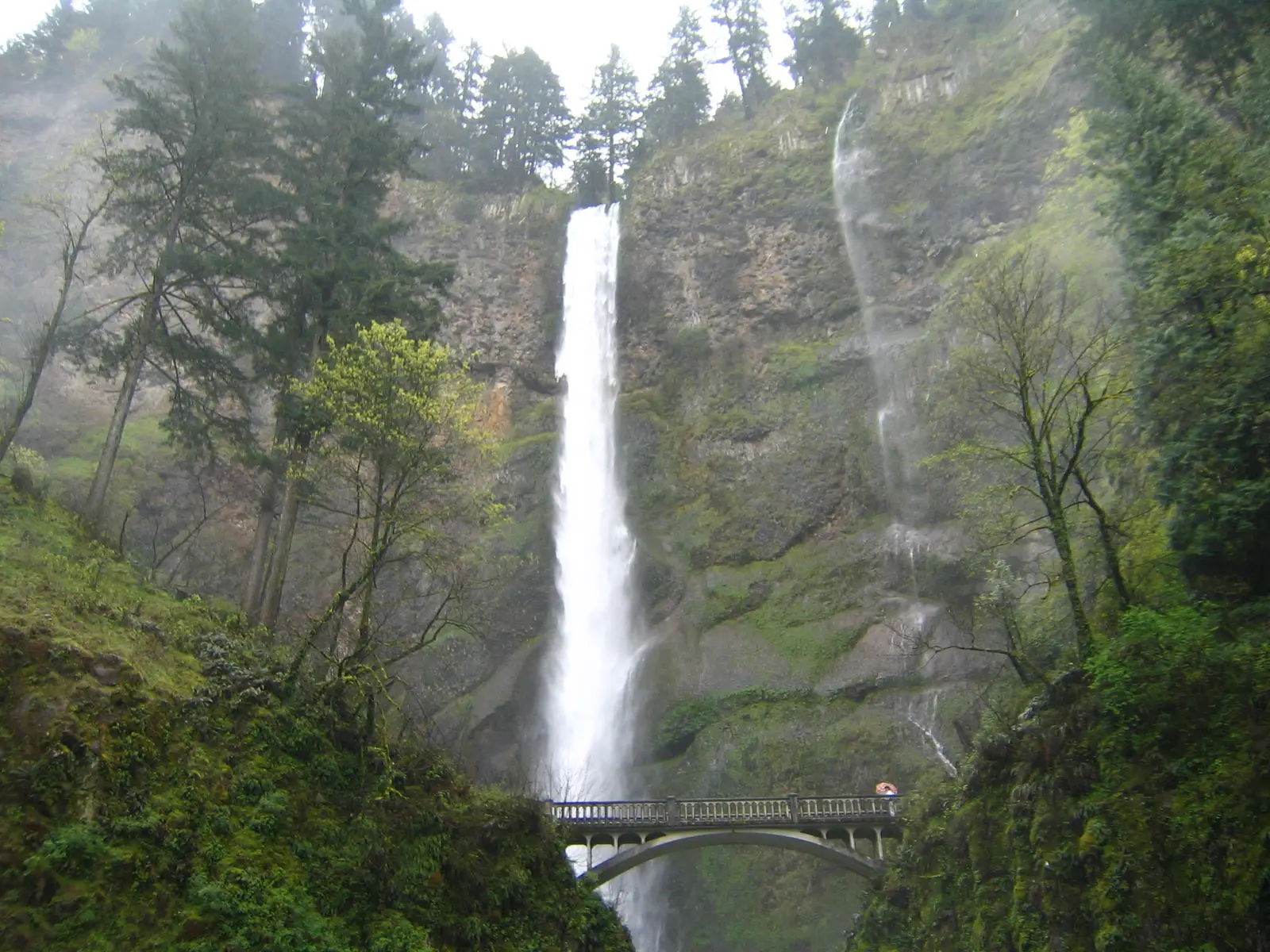Multnomah Falls dropping down a mossy cliff, with the stone Benson Bridge spanning the gap between its two tiers