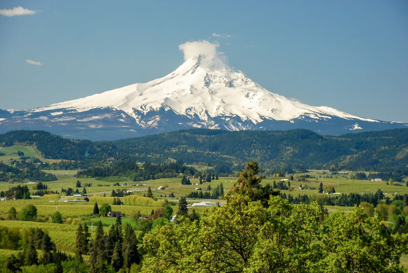 Mount Hood rising above the green farms and orchards of the Hood River Valley, seen from Panorama Point