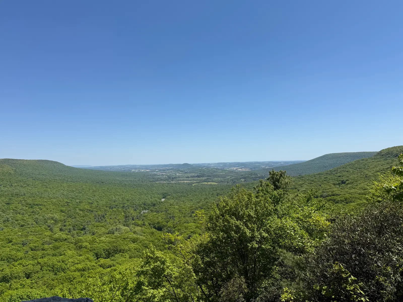 The forested ridges and valley seen from the South Lookout at Hawk Mountain Sanctuary on a clear summer day