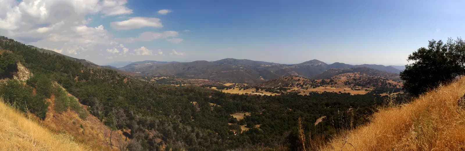 Forested slopes of Palomar Mountain falling to a dry valley, with ridges of the backcountry beyond
