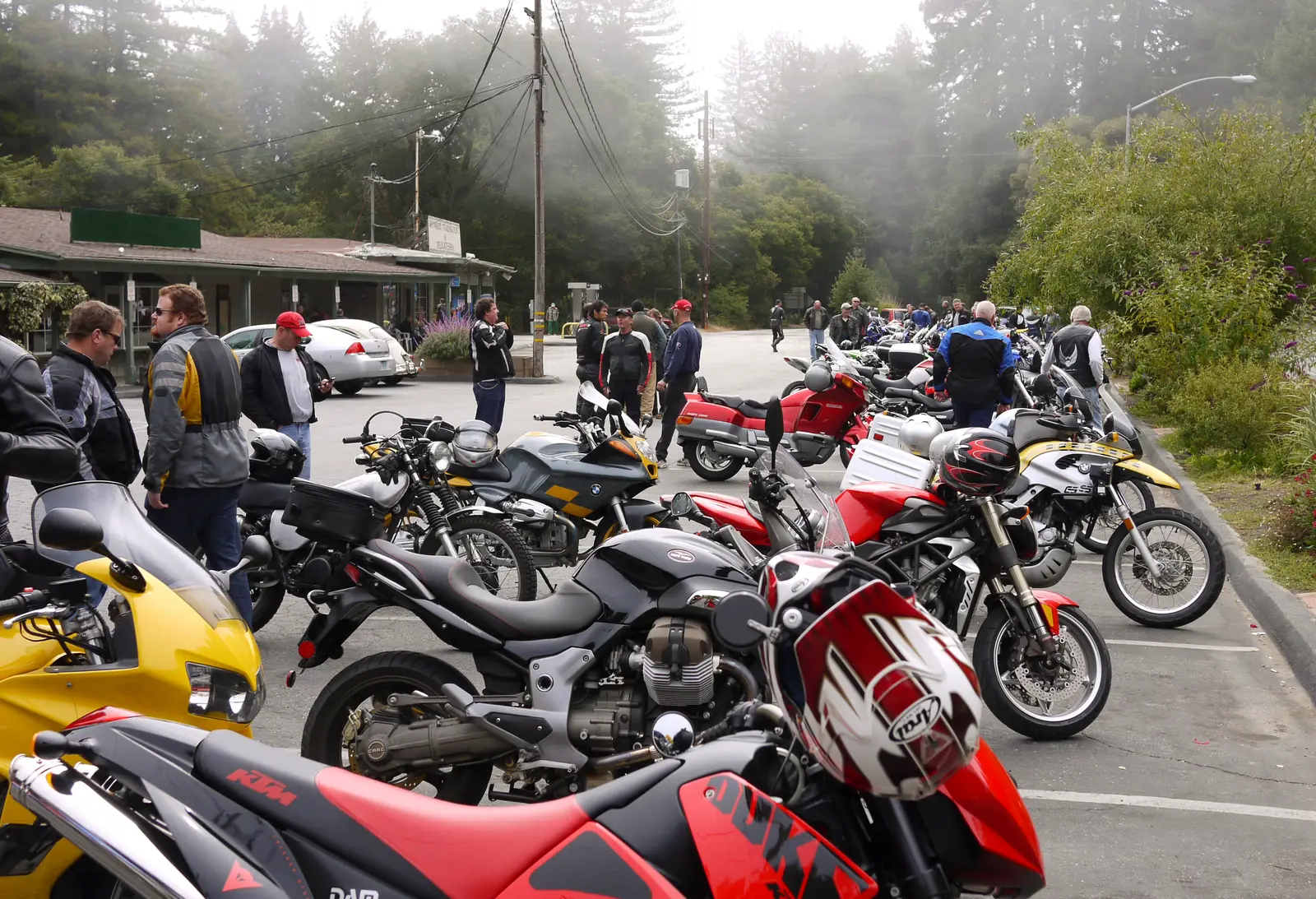 Rows of motorcycles parked outside Alice's Restaurant under redwoods on a foggy morning