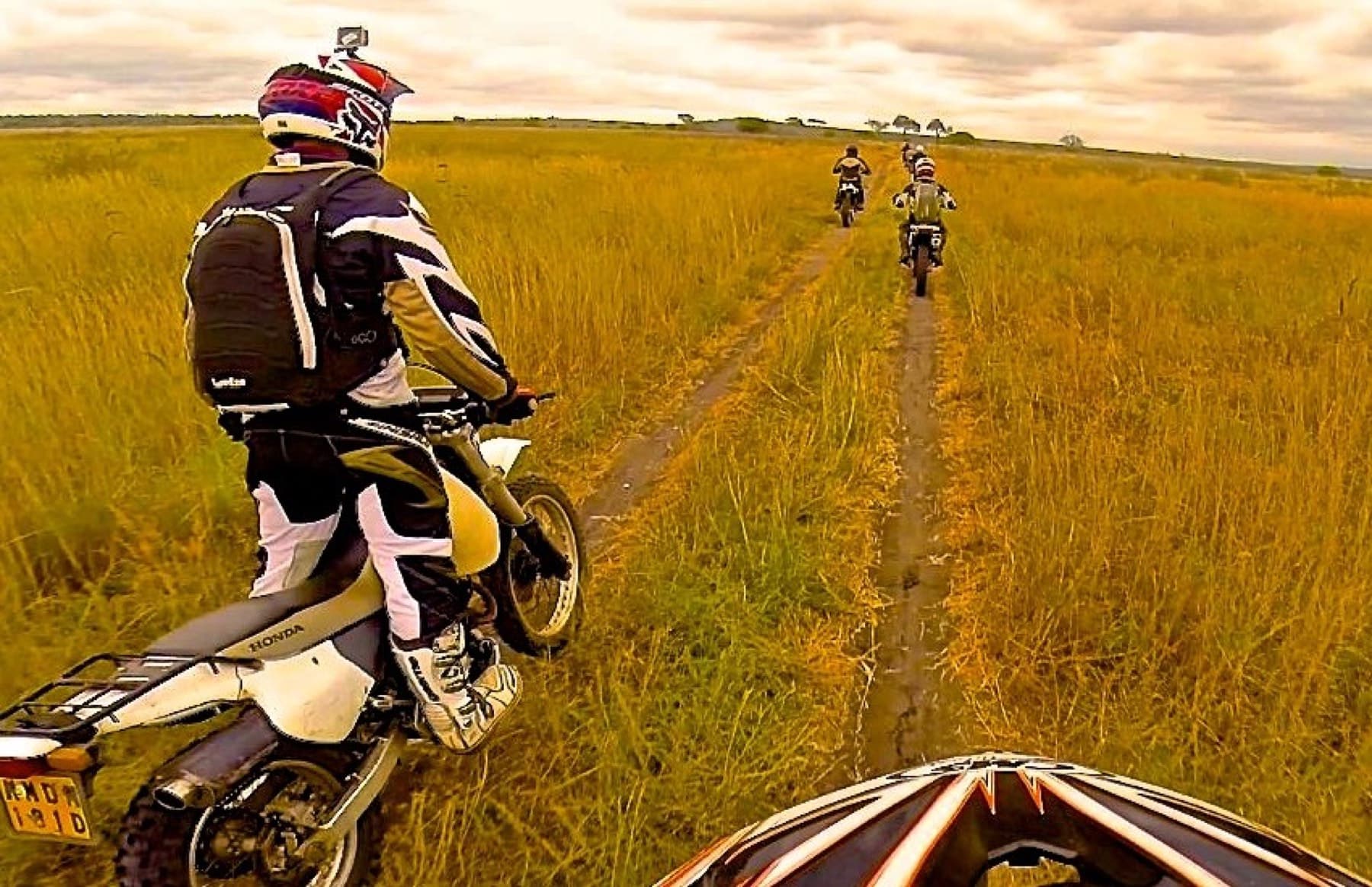 Riders following a single track through tall grass on the Masai Mara