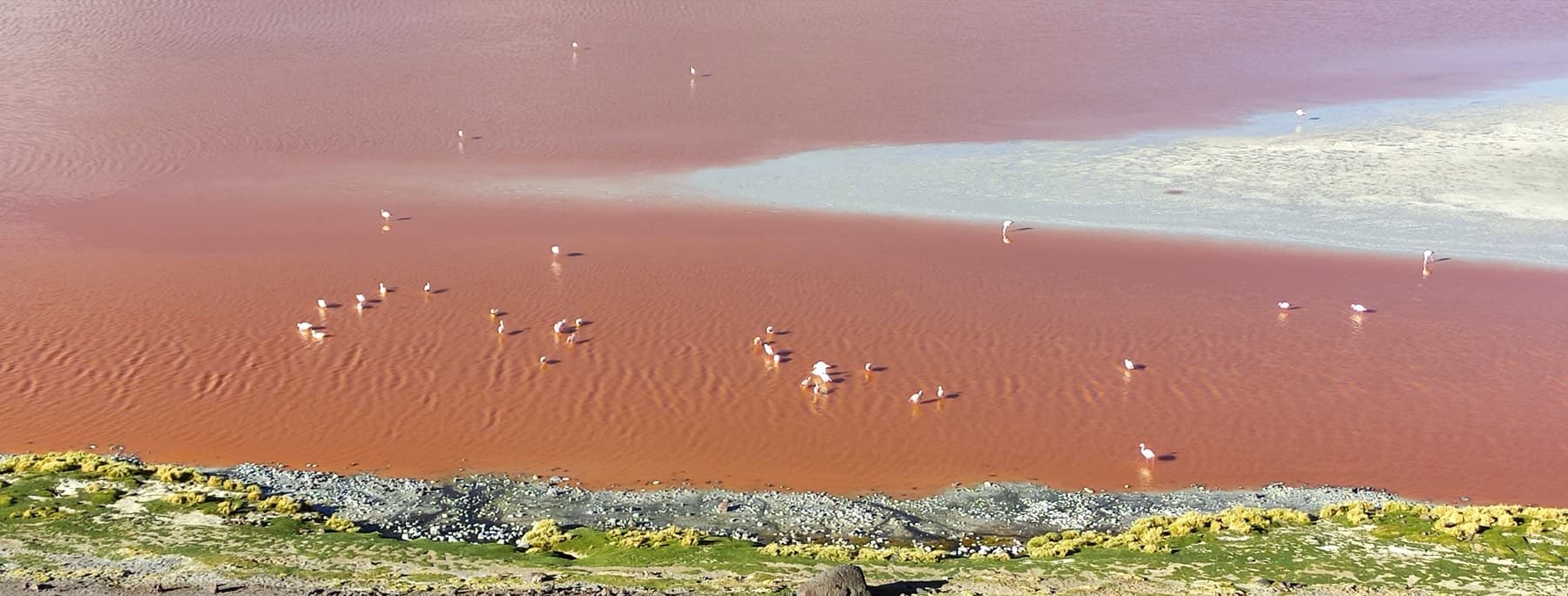 Quantum of Solace: Salt Flats and the Coloured Lagoons, 16 Days
